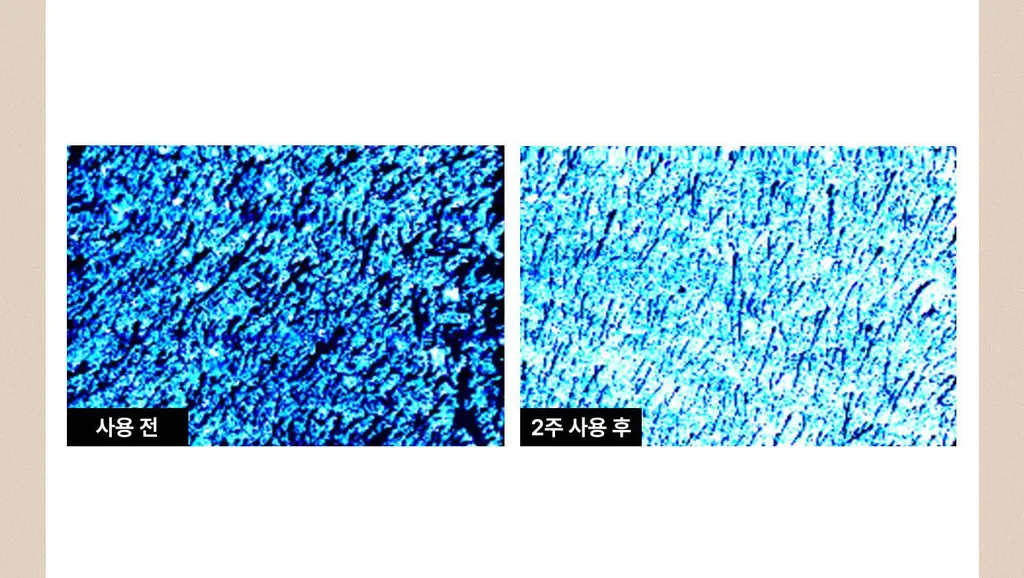 [각질케어 바디워시템] 힐그리즈 PHA 0.5% 샤워오일 350ml 상세페이지 39